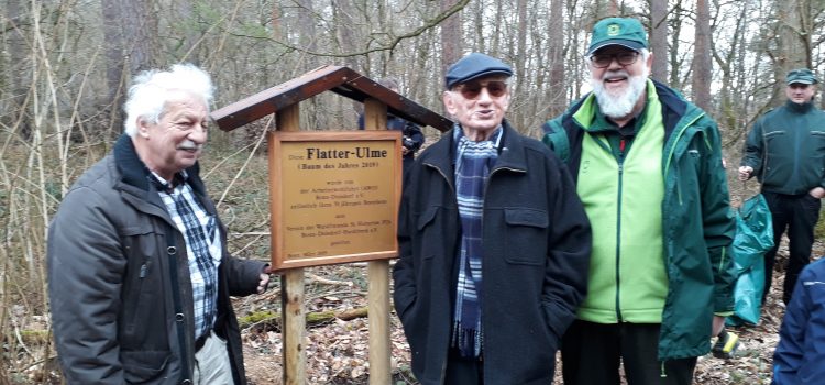 Baumpflanzung AWO Duisdorf